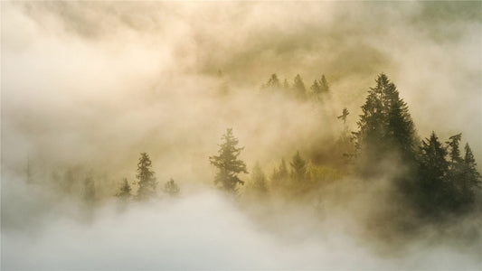 Which type of Wireless Bluetooth Earbuds will you choose?